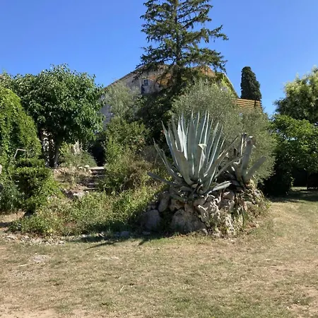 Boyer * Chauzon